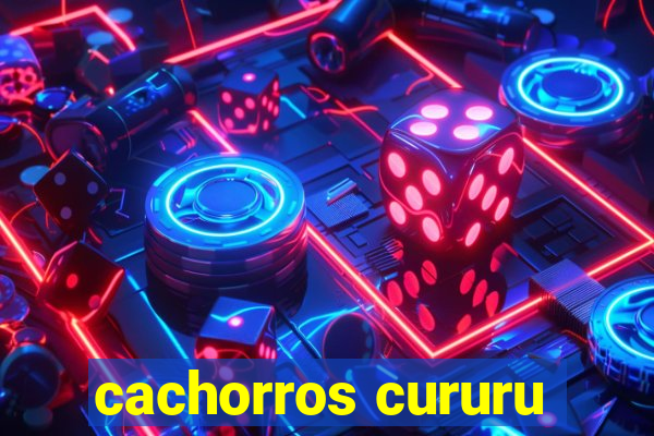 cachorros cururu